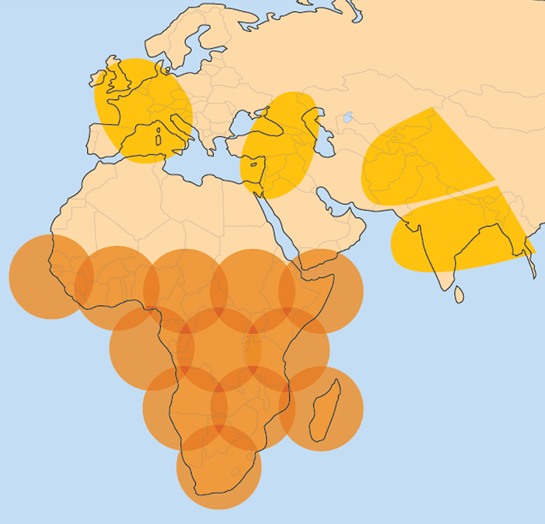 Карта покрытия спутников Amos. Africa Satellite coverage.